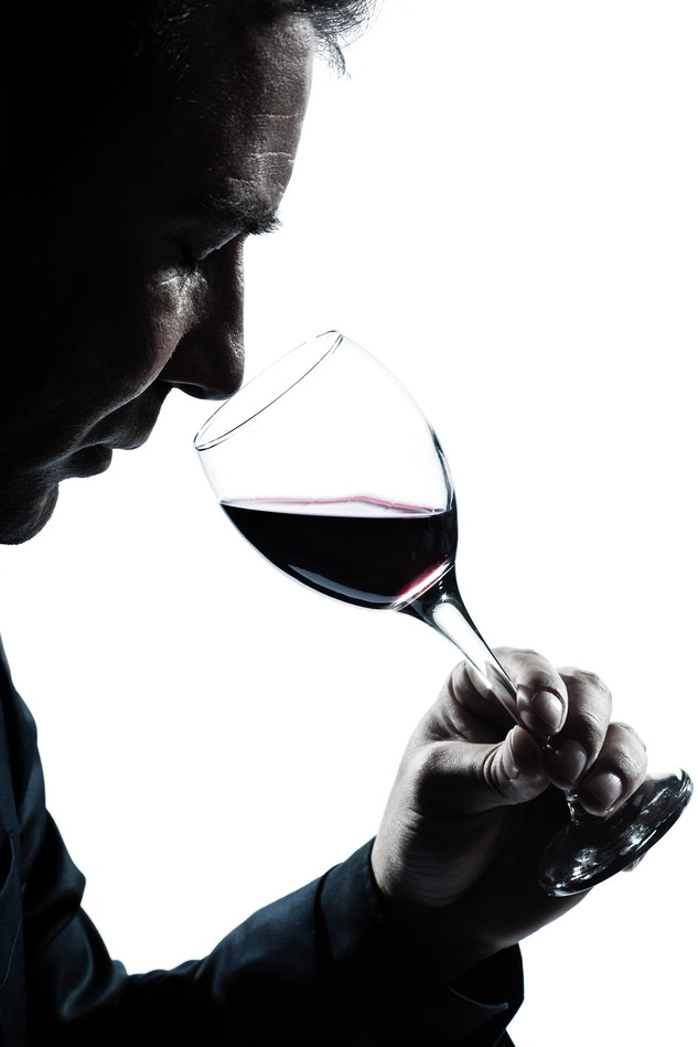 one caucasian man portrait silhouette smelling red wine glass in studio isolated white background
